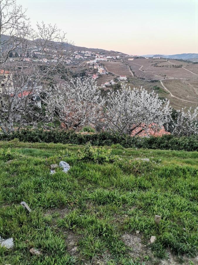 Quinta De Travassinhos- Douro Valley & Spa Santa Marta de Penaguião Exterior foto